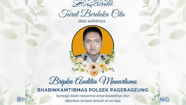 Bripka Aditya