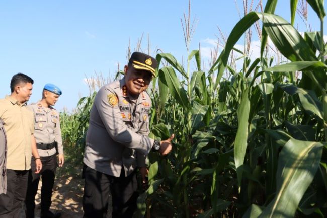 Kapolresta Barelang Turun ke Ladang! Polri Serius Dukung Ketahanan Pangan Nasional di Batam (2) Kapolresta Barelang Diganti, Ini Daftar Kapolres yang Bergeser