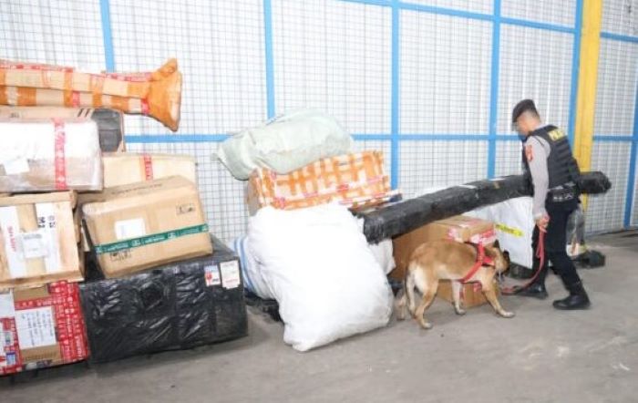 Polda Kepri Gerebek Kantor Ekspedisi di Batam! Lima Anjing Pelacak Dikerahkan, Ini Hasilnya