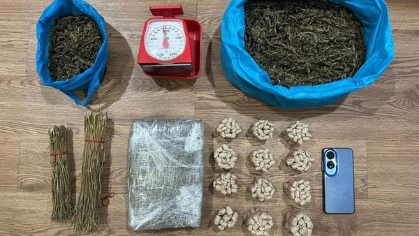 Polda Kepri Bongkar Peredaran Ganja di Bukit Senyum, 2,6 Kg Barang Haram Diamankan