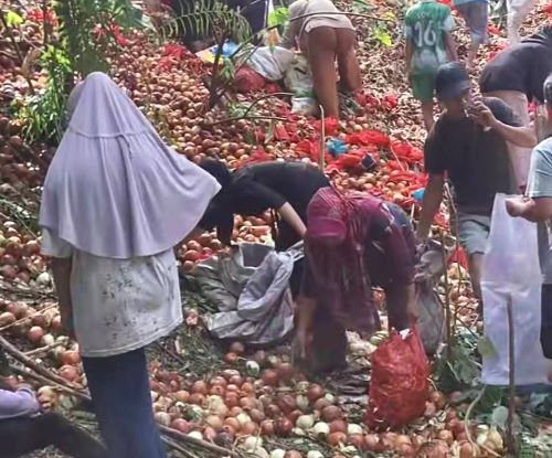 Warga Batam Geger! Puluhan Ton Bawang Merah dan Bombay Dibuang Misterius di Tengah Permukiman