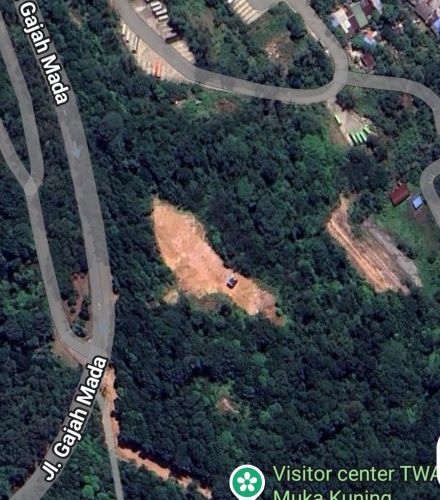 hutan lindung sei ladi batam dirusak Hutan Lindung Sei Ladi Batam Terancam Rusak, Jalan Misterius Muncul di Kawasan Resapan Air Waduk