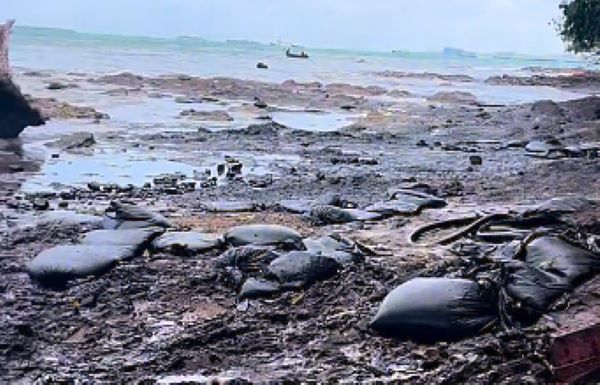 pantai dangas tercemar limbah b3 minyak hitam Nelayan Mengeluh, Dugaan Limbah B3 di Perairan Sekupang Masuk Penyelidikan Polisi