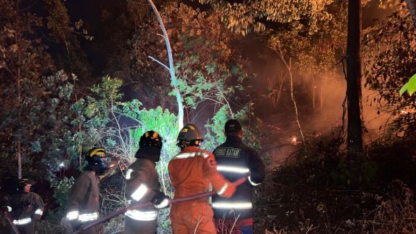 Batam Siaga Karhutla! Amsakar Minta Warga Hentikan Aktivitas Berisiko