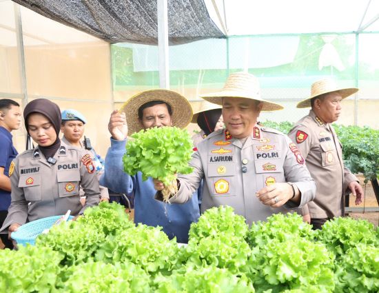 Keren! Polda Kepri Panen Sayur Hidroponik, Hasilnya Dipakai untuk Program Makan Gratis