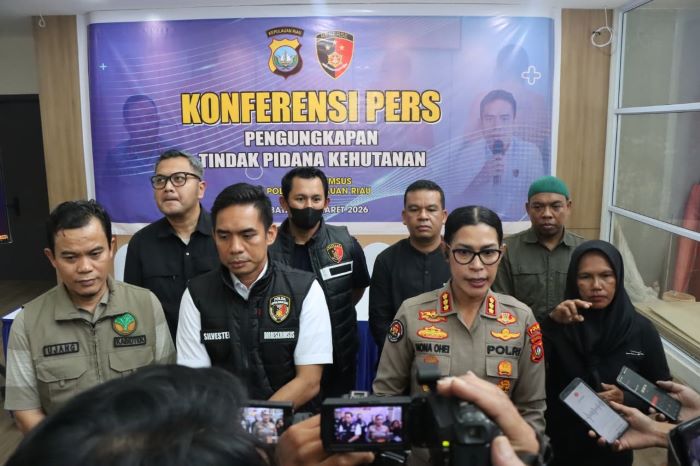 Rempang Geger! Hutan Konservasi di Batam Disulap Jadi Kebun Mangga 294 Hektare Tanpa Izin