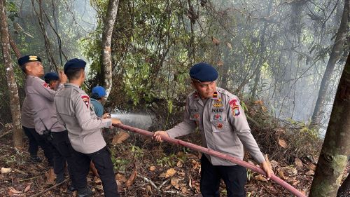 Kebakaran Hutan di Galang dan Bukit Daeng Bikin Warga Cemas, Ini Aksi Cepat Polda Kepri