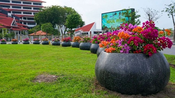 Pot Bunga