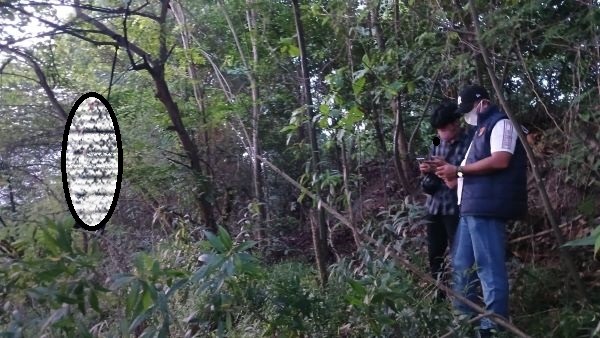 Geger! Mayat Pria Tergantung dan Membusuk Ditemukan di Pinggir Jalan Yos Sudarso Batu Ampar, Batam