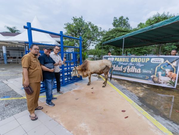 Panbil Group Tebar Kebahagiaan Idul Adha di Batam, Salurkan 24 Hewan Kurban hingga ke Pulau-Pulau