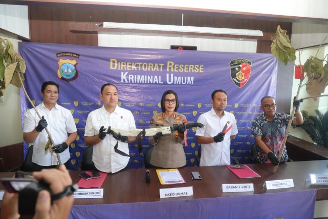Polda Kepri Tangkap Pria yang Rusak Ratusan Pohon Jati Emas di Jalan Protokol Batam