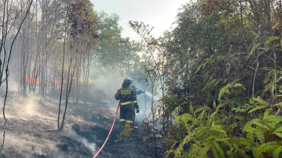 35 Hektare Lahan Terbakar di Trans Barelang Batam, Api Baru Padam Setelah 14 Jam! Ini Pesan Keras Polda Kepri