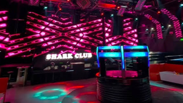 Shark Club